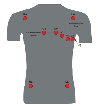 ECG T-Shirt